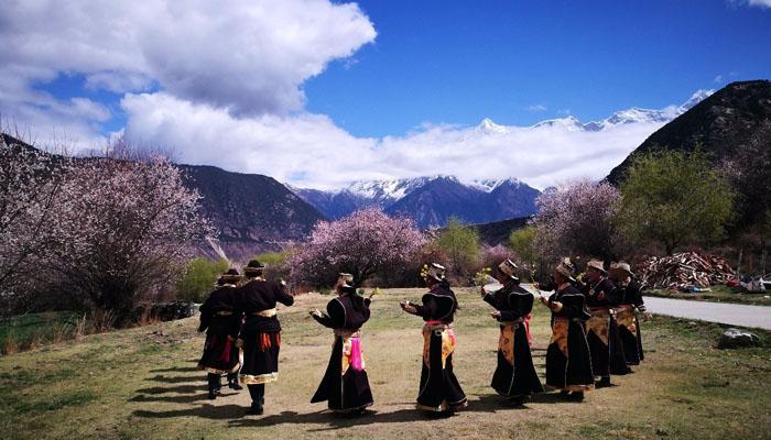 Nyingchi Peach Blossom Festival