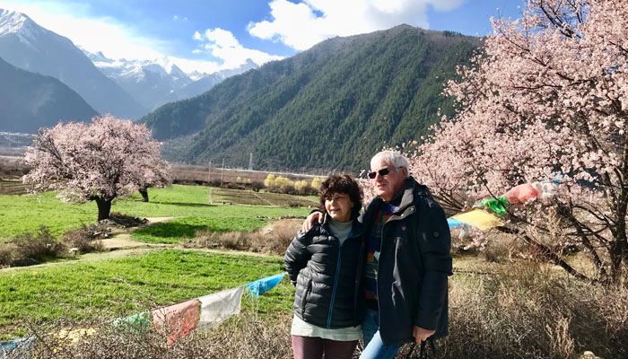 Visit Nyingchi peach blossoms in Marchi to April