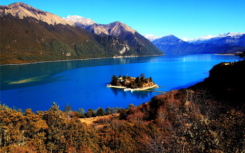 What Are the Top Experiences to Expect for Touring Nyingchi in Tibet?