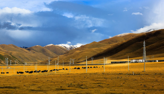 Tibet train passing mountains