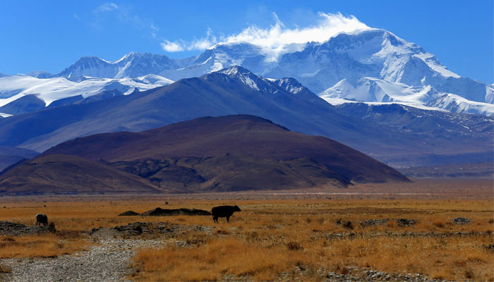  Mount Cho Oyu 