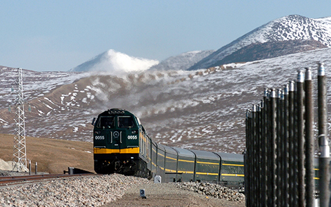 train