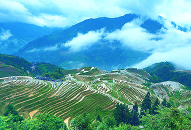 Longji Terraced Fields, Guilin