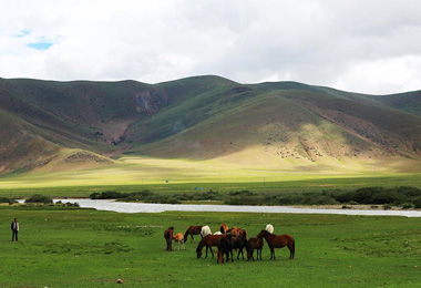 Bangda grassland