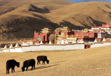 Ganden-thubchen-choekhorling-monastery