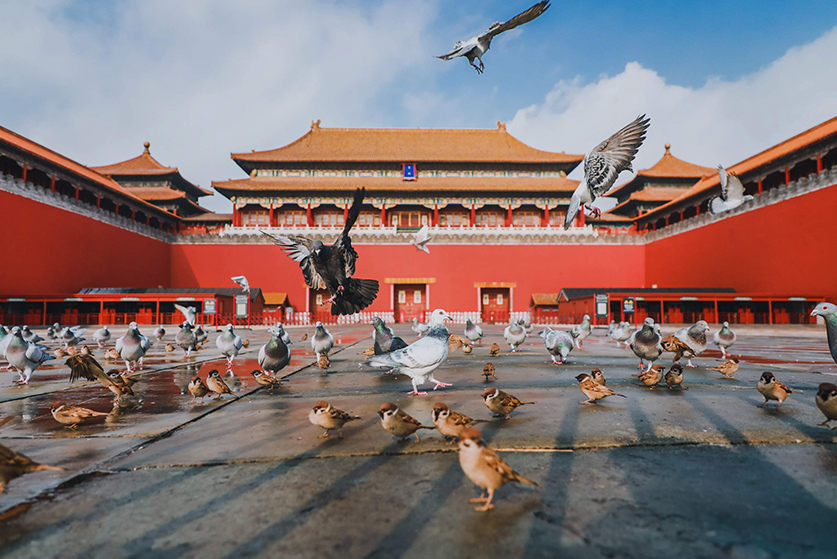 beijing tibet nepal tour