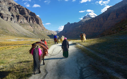 18 Days Epic Tour from Xi’an to Tibet with EBC and Manasarovar, Kailash