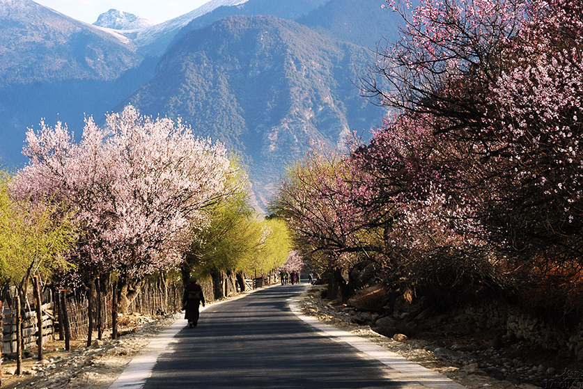 chengdu lhasa overland