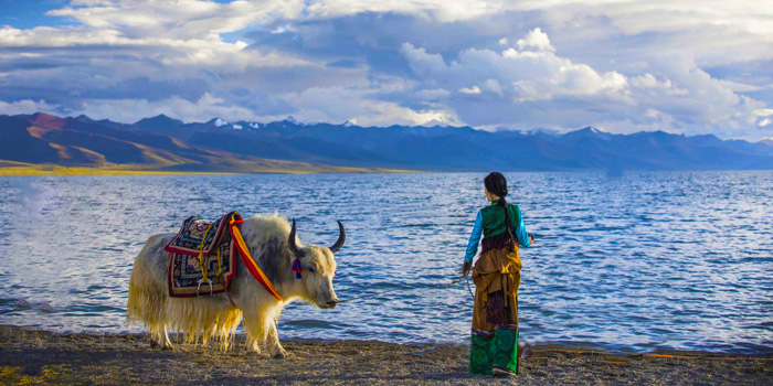 11 Days Xining Lhasa Overland Tour via Qinghai-Tibet Highway