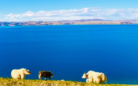 6 Days Lhasa to Namtso Lake Tour from Singapore