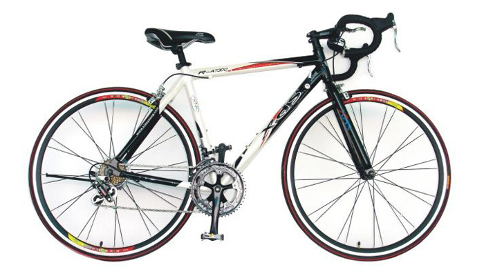 You need a bicycle for a Tibet Cycling tour