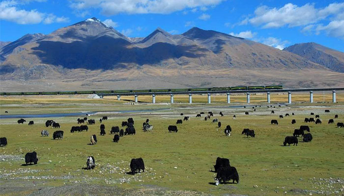 Qinghai Tibet Railway