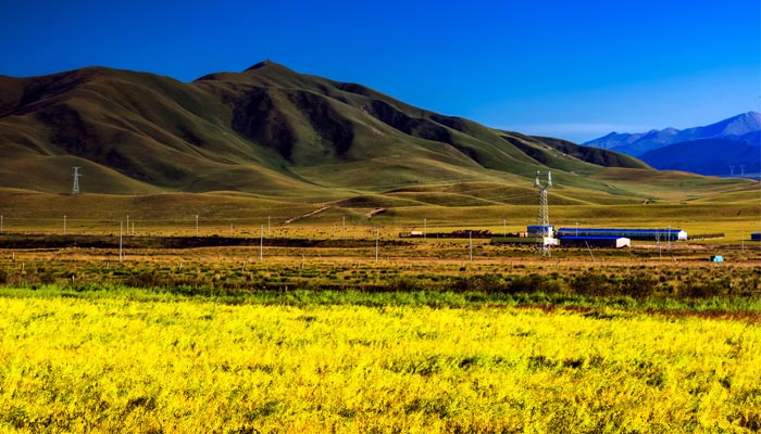 Jinyintan Prairie