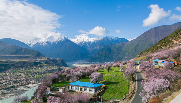 Nyingchi in Tibet