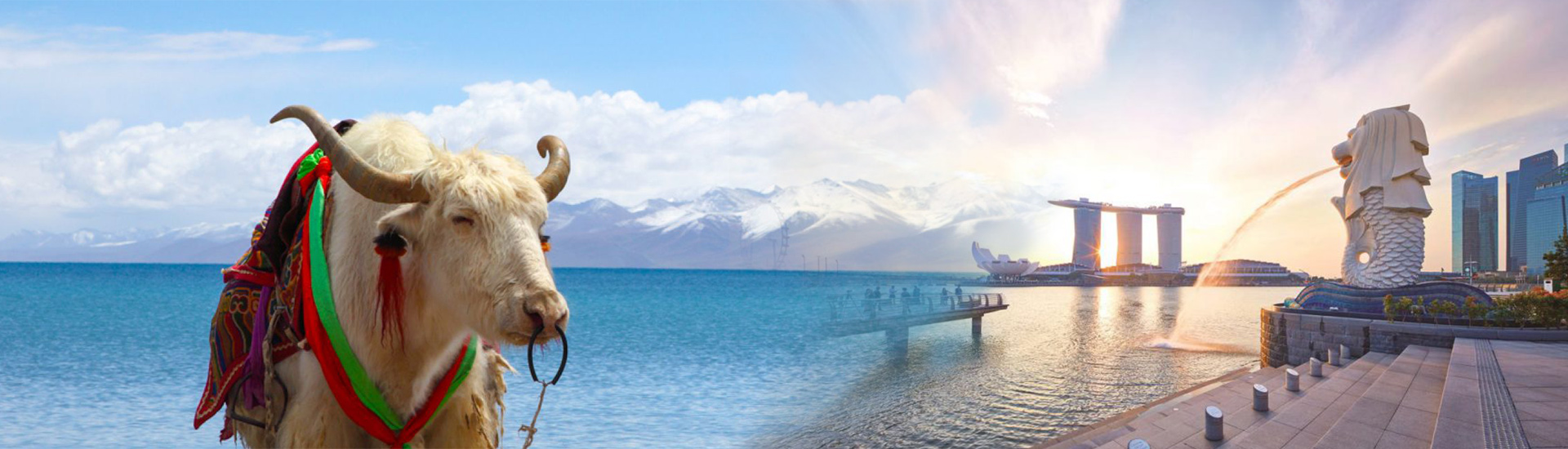 tibet tour
