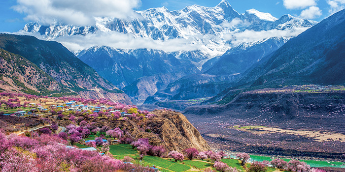 10 Days Nyingchi Peach Blossom Festival and Everest Base Camp Small Group Tour