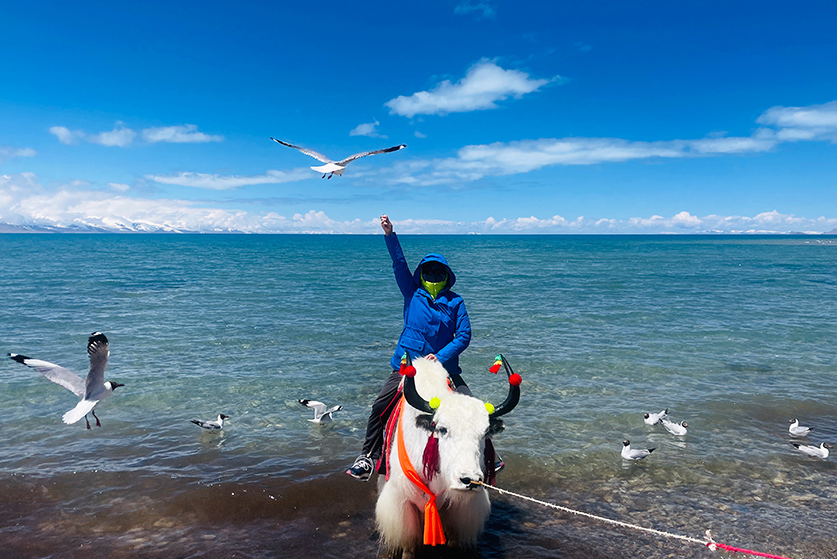 china tibet tour