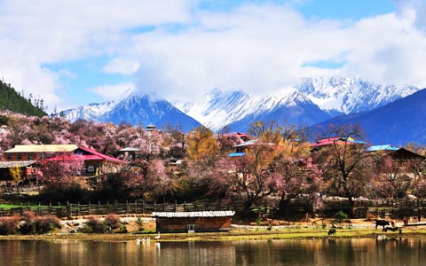 11 Days Guangzhou Xi’an Lhasa and Nyingchi Tour by Train