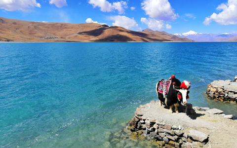 8 Days Ho Chi Minh City Chengdu Lhasa Yamdrok Tour via Tibet Train