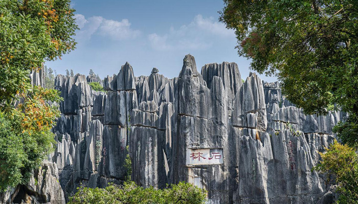 Explore Stone Forest in Kunming