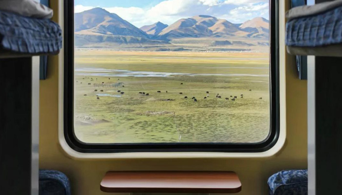 Qinghai-Tibet Raliway