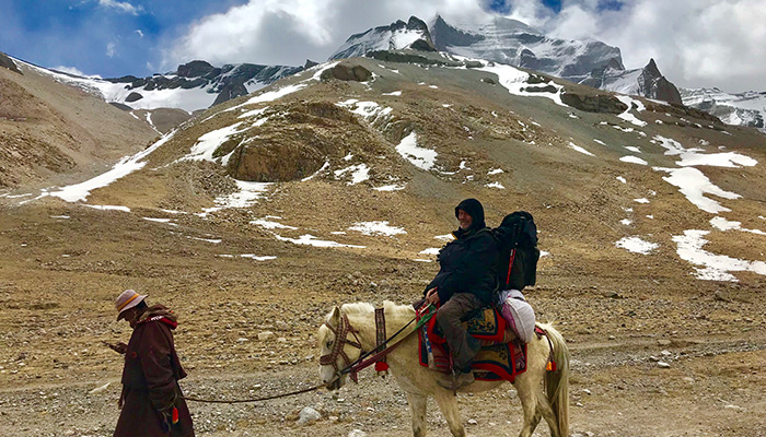 Horse for Mount Kailash trek