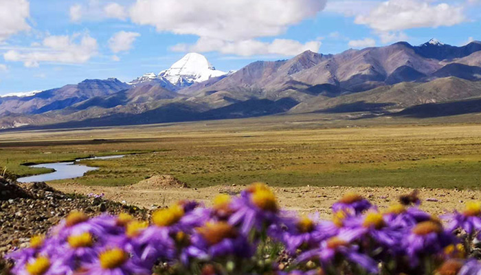 Mount Kailash tour cost
