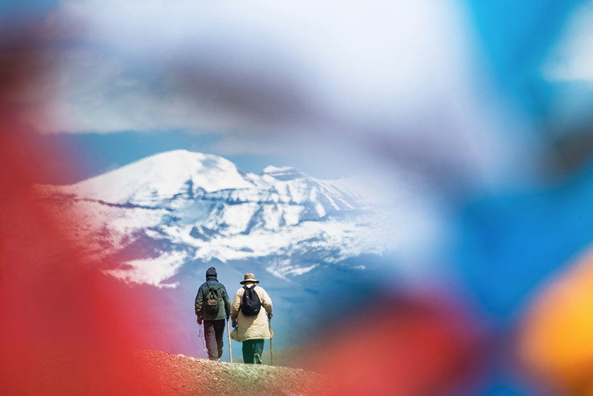 mount kailash tour