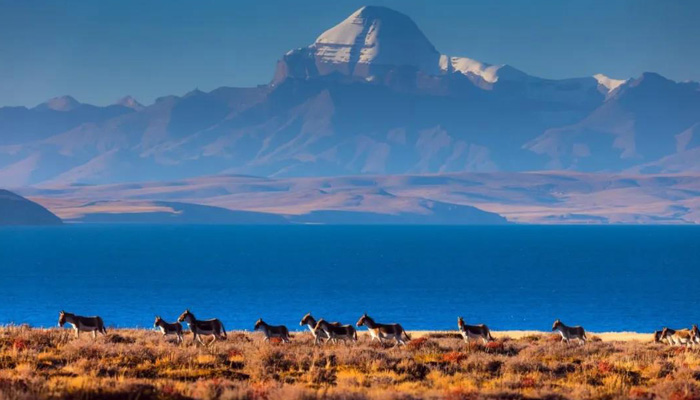 Mount Kailash and Lake Manasarovar