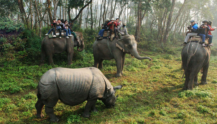 Explore Chitwan National Nature Preserve