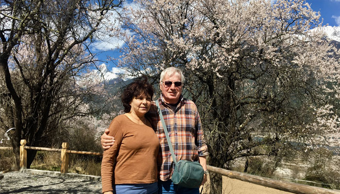 Enjoy Peach Blossom Festival in Nyingchi