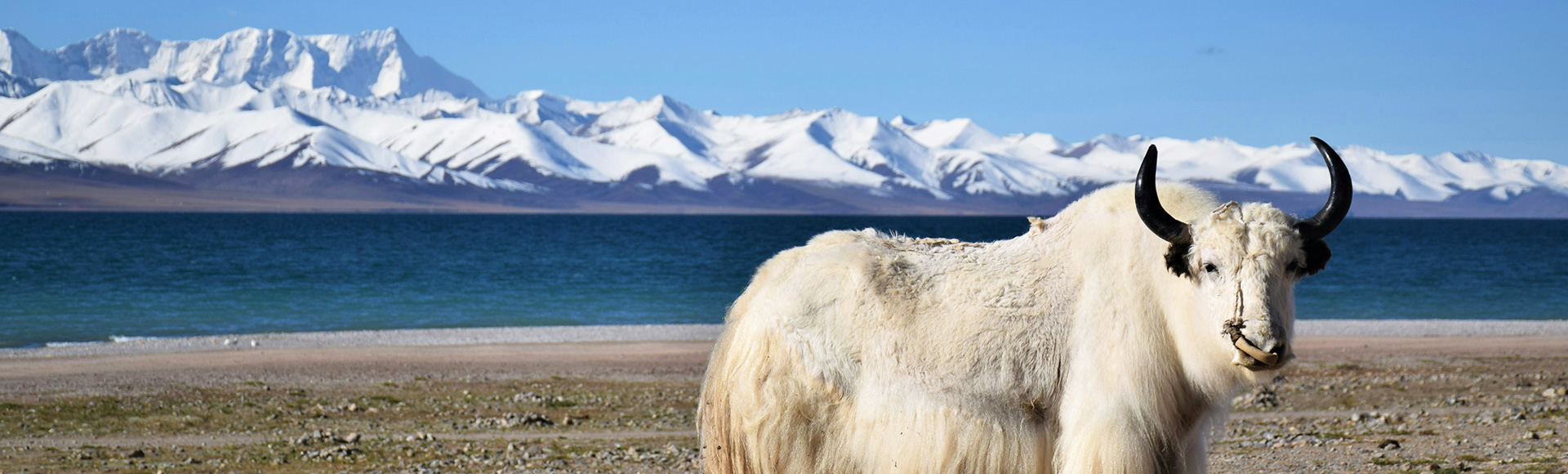 Lhasa Tour