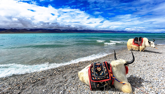 Namtso Lake