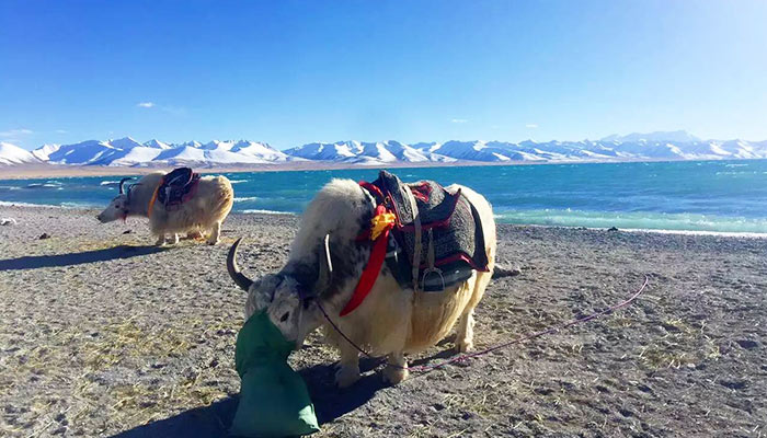 Namtso Lake