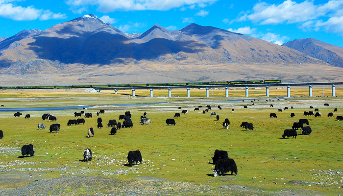 Qinghai-Tibet Railway scenery through northern Tibet