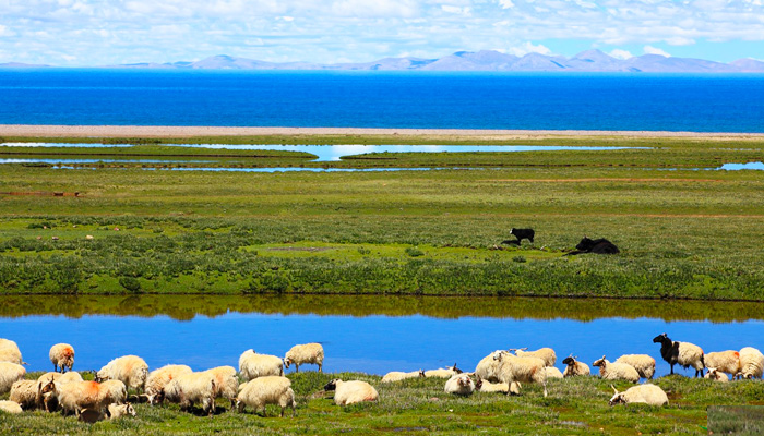 Namtso Lake in Summer