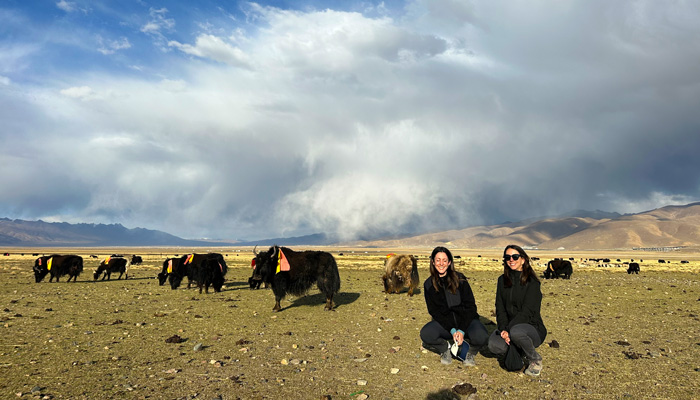Changtang Grasslands in Nagqu Tibet