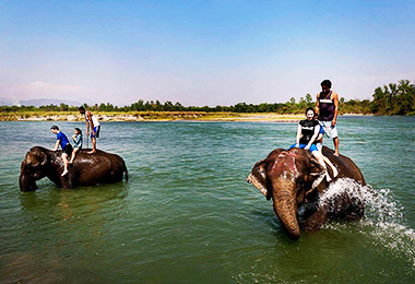 Chitwan National Park elephant bathing