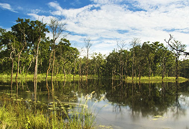 Chitwan national park