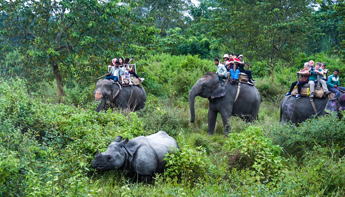 Nepal Chitwan National Park