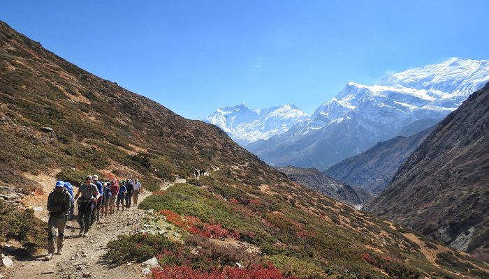 spring in Nepal