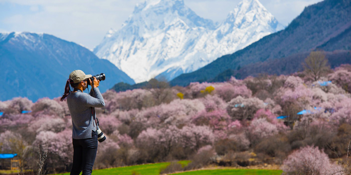5 Days Nyingchi Peach Blossom Festival Tour with Four Scenic Spots