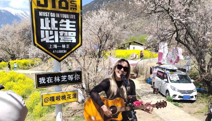 Our guest enjoy peach blossom in Nyingchi in spring Our guest enjoy peach blossom in Nyingchi in spring