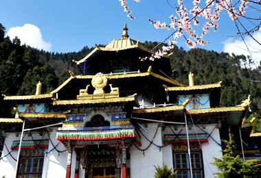 Lamalin Temple peach blossoms