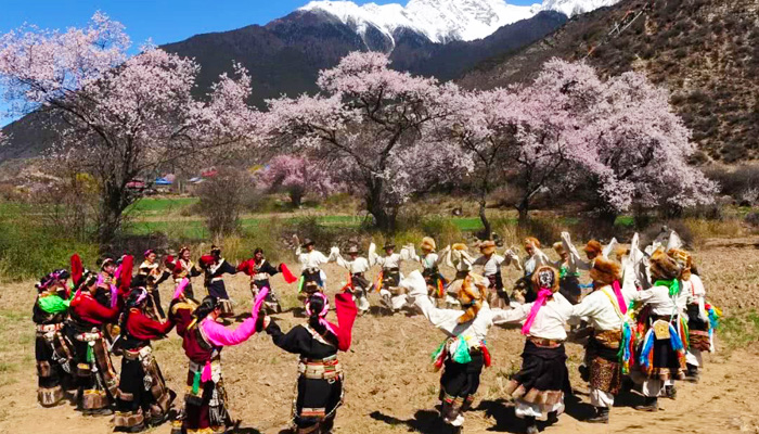 Nyingchi Peach Blossom Festival