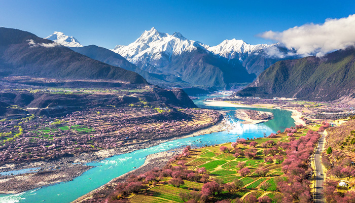 Enjoy Nyingchi peach blossoms near Galang Village in Bome County