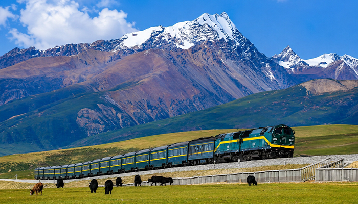 The scenic Qinghai&ndash;Tibet Railway