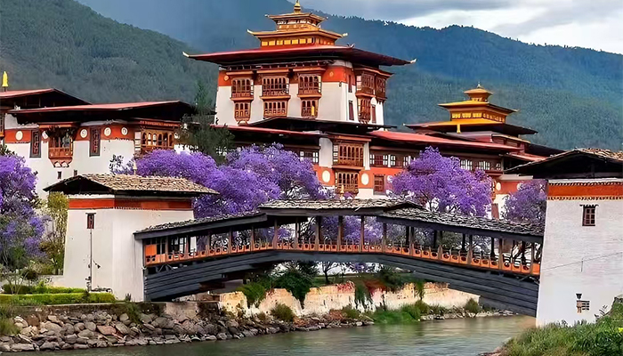 Punakha Dzong in Spring