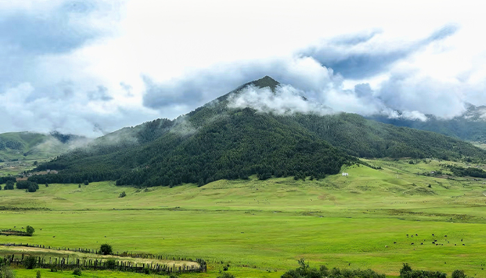 The green valley in Bhutan