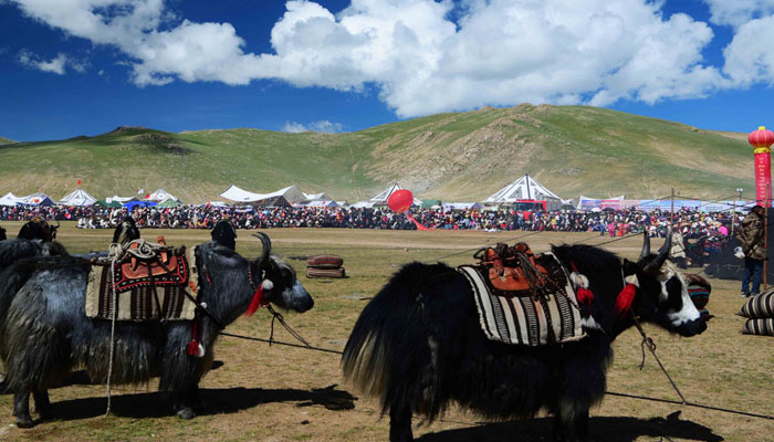 Nagchu Horse Racing Festival